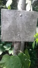 Захоронение ID 1277764