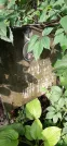 Захоронение ID 1277832