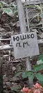 Захоронение ID 1277882