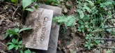 Захоронение ID 1277894
