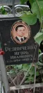 Захоронение ID 1277917