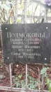 Захоронение ID 1278041