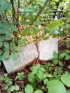 Захоронение ID 1278053