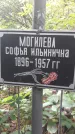 Захоронение ID 1278070