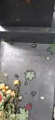 Захоронение ID 1278069