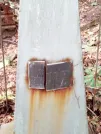 Захоронение ID 1278101