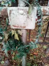 Захоронение ID 1278111
