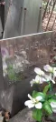 Захоронение ID 1278140