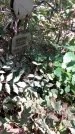 Захоронение ID 1278141