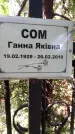 Захоронение ID 1278149