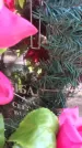 Захоронение ID 1278153