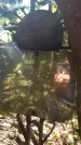 Захоронение ID 1278159