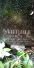 Захоронение ID 1278242