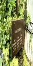 Захоронение ID 1278252