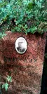 Захоронение ID 1278260