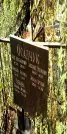 Захоронение ID 1278266