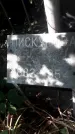 Захоронение ID 1278297