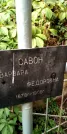 Захоронение ID 1278323