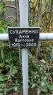 Захоронение ID 1278343