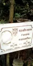 Захоронение ID 1278366