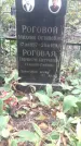 Захоронение ID 1278367