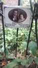 Захоронение ID 1278374