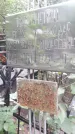 Захоронение ID 1278398