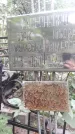 Захоронение ID 1278400