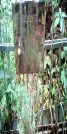 Захоронение ID 1278405