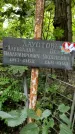 Захоронение ID 1278453