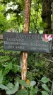 Захоронение ID 1278455