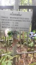 Захоронение ID 1278460