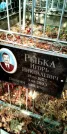 Захоронение ID 1278579