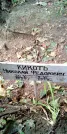 Захоронение ID 1278668