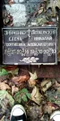 Захоронение ID 1278672