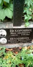 Захоронение ID 1278689