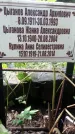Захоронение ID 1278714