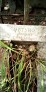 Захоронение ID 1278713