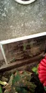 Захоронение ID 1278779