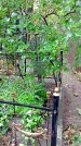 Захоронение ID 1278814