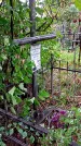 Захоронение ID 1278874