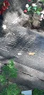 Захоронение ID 1278999