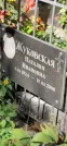 Захоронение ID 1279053