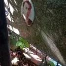 Захоронение ID 1279056