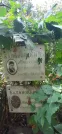 Захоронение ID 1279060