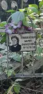 Захоронение ID 1279072