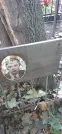 Захоронение ID 1279129