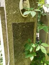 Захоронение ID 1279133