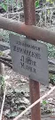 Захоронение ID 1279158