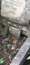 Захоронение ID 1279181